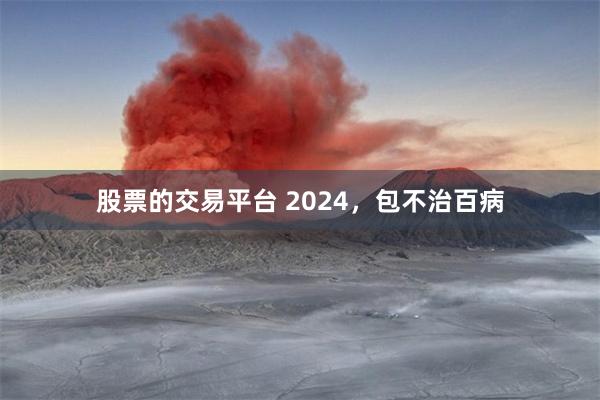 股票的交易平台 2024，包不治百病