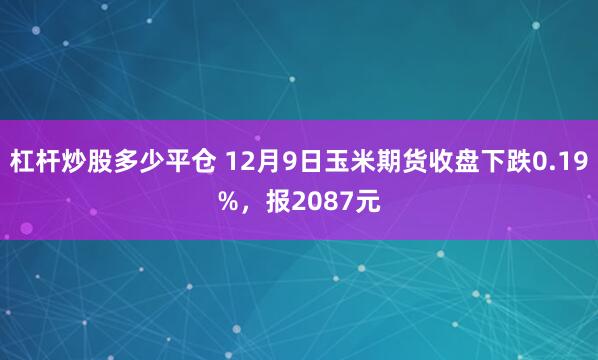 杠杆炒股多少平仓 12月9日玉米期货收盘下跌0.19%，报2087元