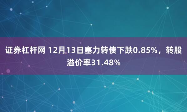 证券杠杆网 12月13日塞力转债下跌0.85%，转股溢价率31.48%