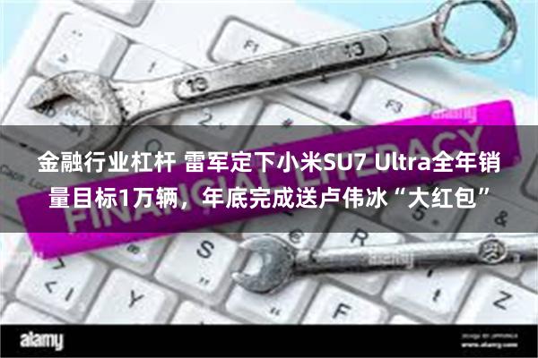 金融行业杠杆 雷军定下小米SU7 Ultra全年销量目标1万辆，年底完成送卢伟冰“大红包”