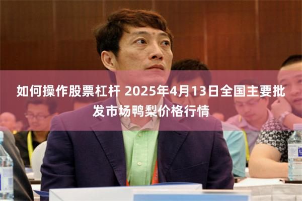 如何操作股票杠杆 2025年4月13日全国主要批发市场鸭梨价格行情